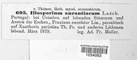 Image Associated With the Occurence